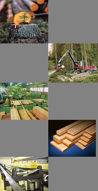 wood